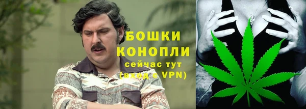 соль ск Абаза