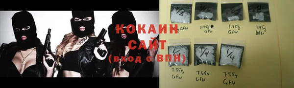индика Абинск