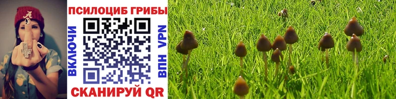 hydra как войти  Аксай  Галлюциногенные грибы мицелий 